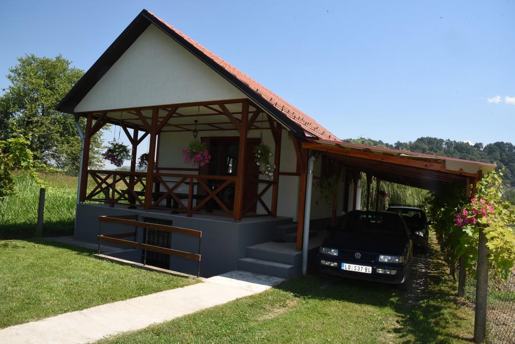 Holiday Home Kucica Na Drvetu Banja Koviljaca Exterior photo